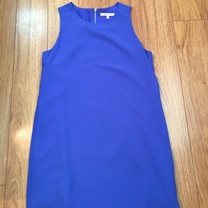 Naked Zebra Blue Dress
